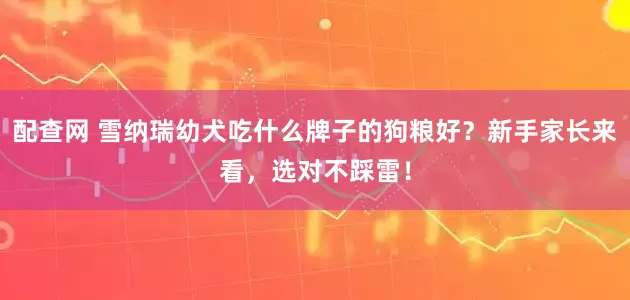 配查网 雪纳瑞幼犬吃什么牌子的狗粮好？新手家长来看，选对不踩雷！